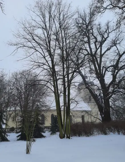 Kirche Klosterfelde 2 Febr 2021