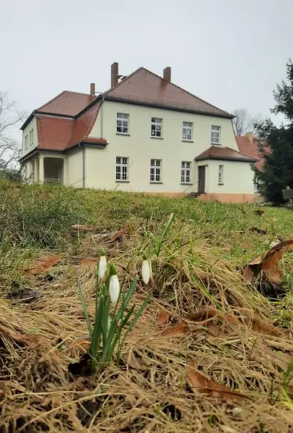 Frühling 2021