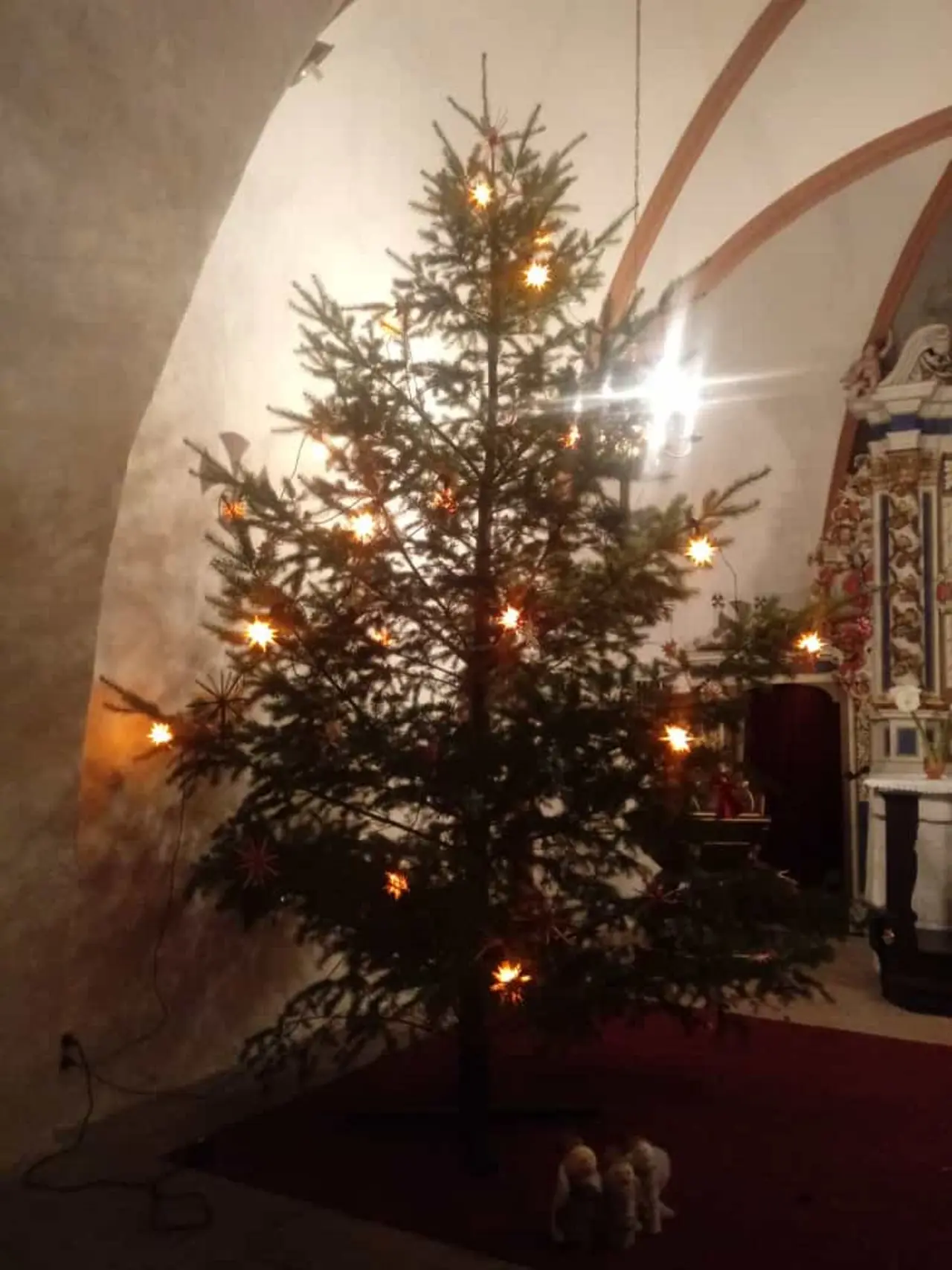 Weihnachtsbaum (c) Birgit Großmann